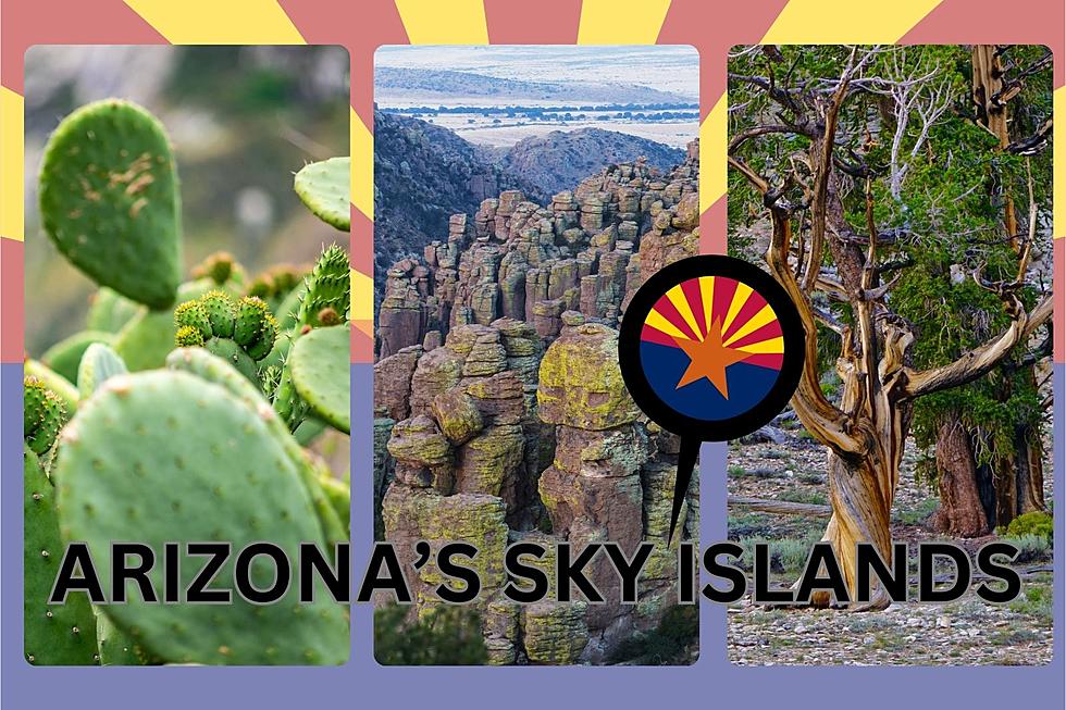 From Desert to Forest: The Amazing Diversity of Arizona’s Sky Islands