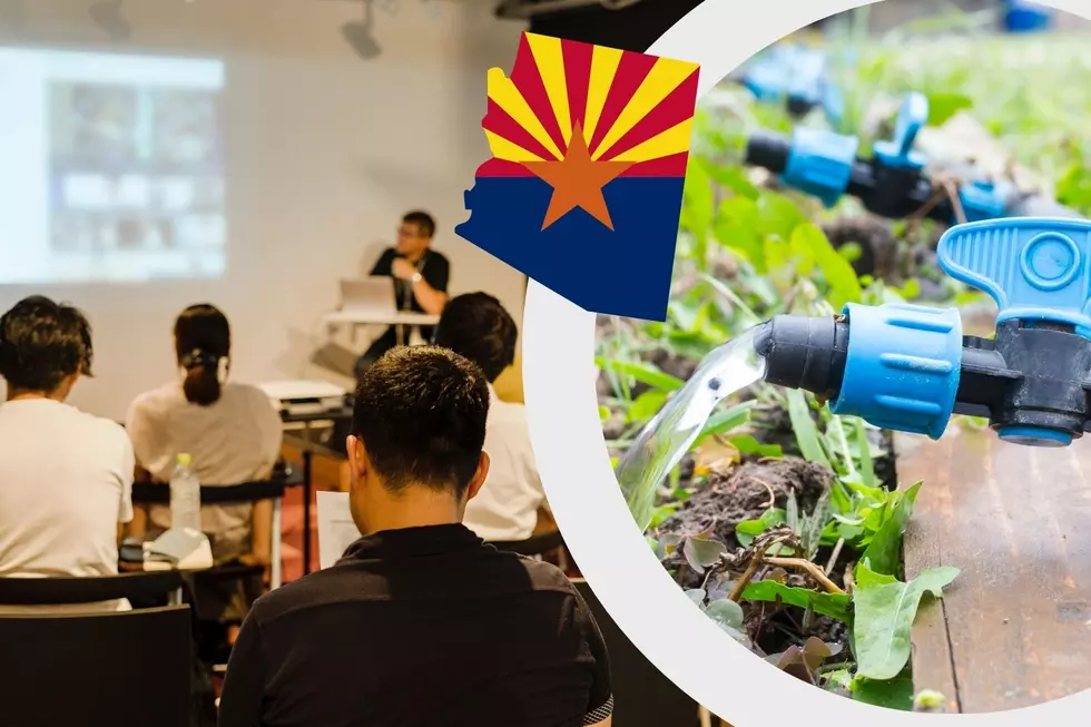 Attend Drip Irrigation Workshop at the University of Arizona
