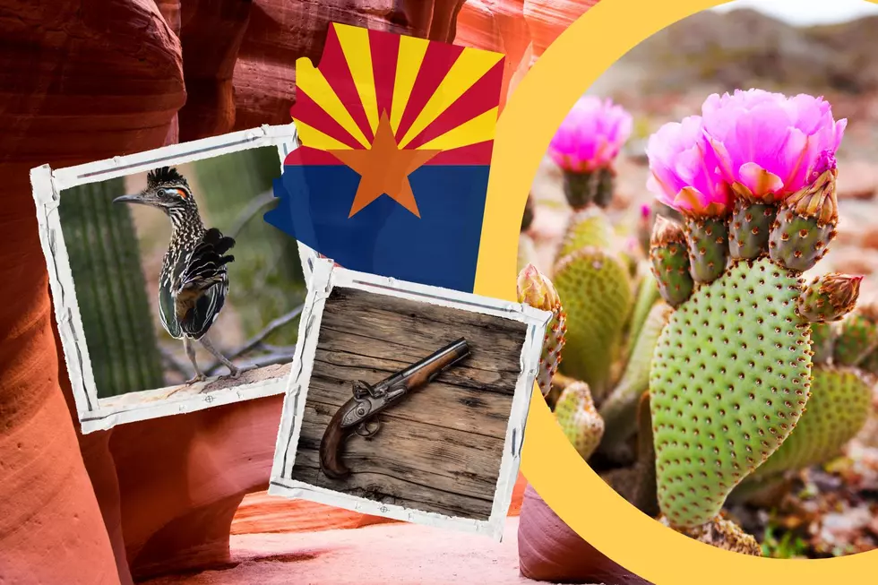You Can Only Experience These 15 Things in Arizona!