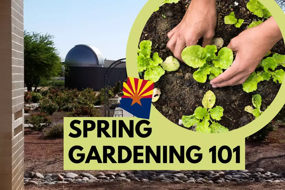 Spring Gardening in Cochise County? Attend this Special Workshop