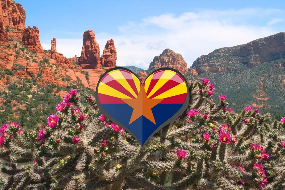 Largest landowner in the state of Arizona