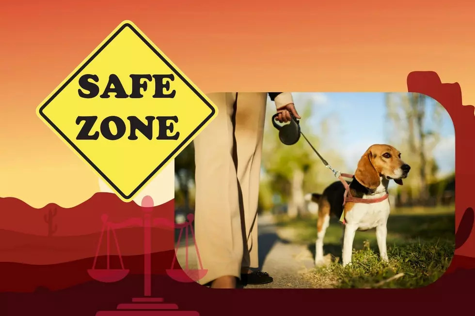 What happens if your dog bites someone in AZ?