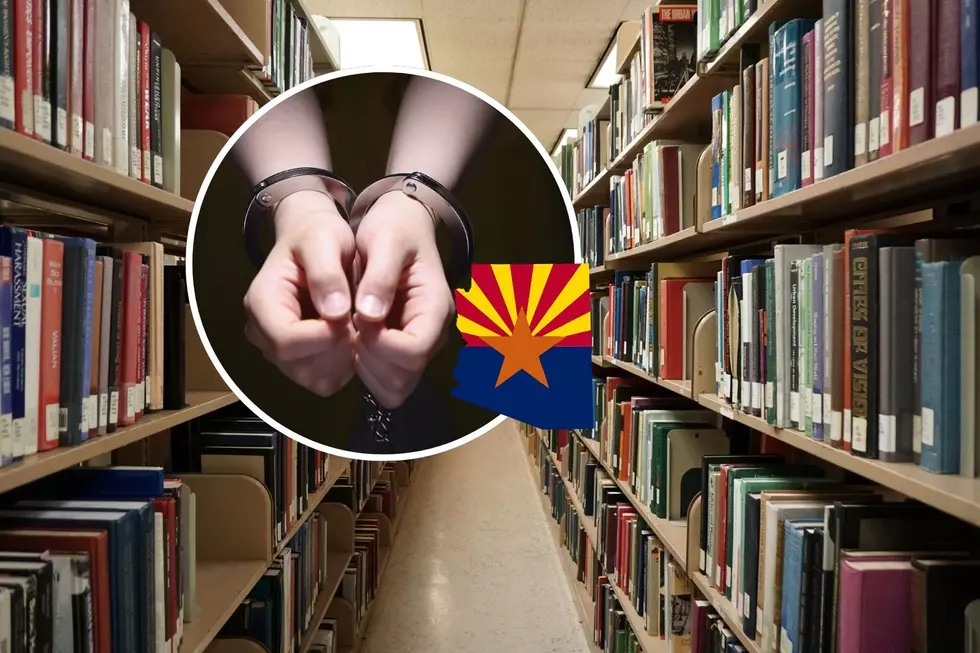 Arizona Library Books Allegedly Resold for Cash, Mesa Police Say