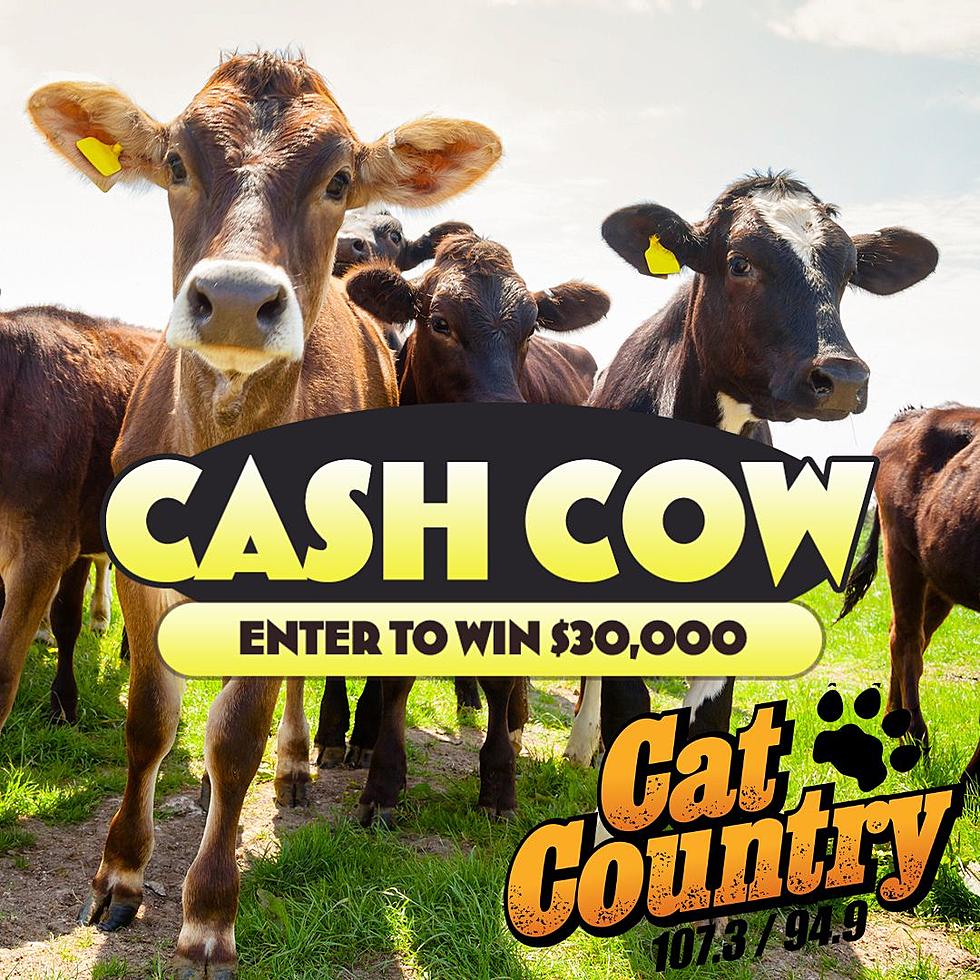 WIN $30K Now: The Cash Cow Is Back!