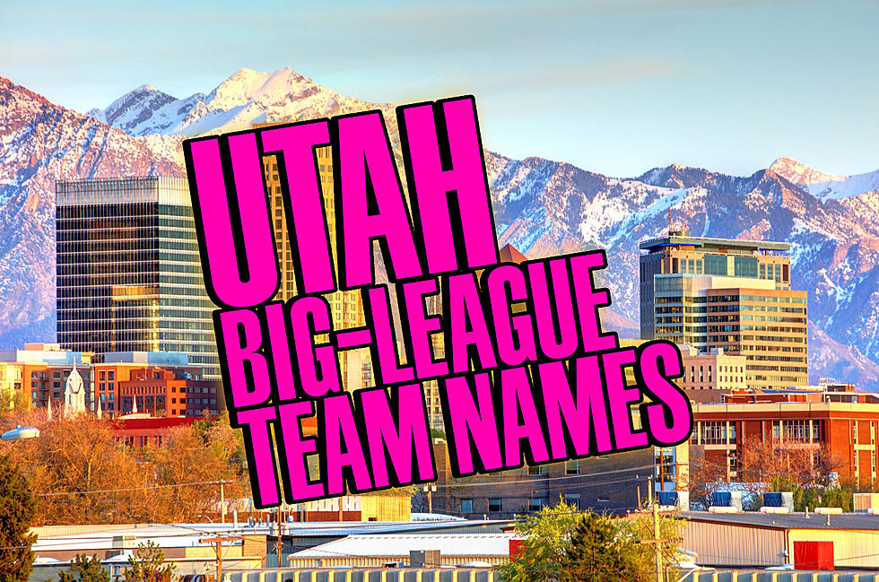 Possible Names For Utah’s Future Major League Baseball Team!