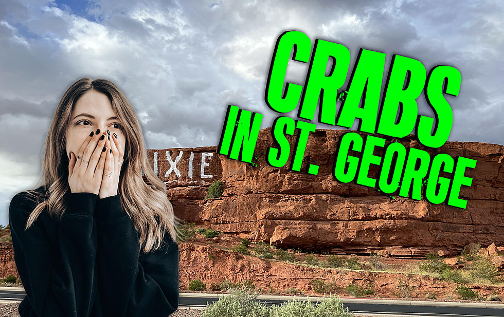 WHOA! Everyone In St. George Is Getting Crabs!