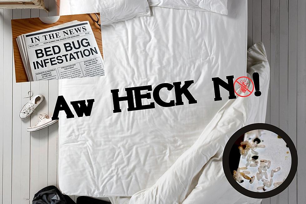 Gross! See Details On Utah&#8217;s Startling Bed Bug Outbreak
