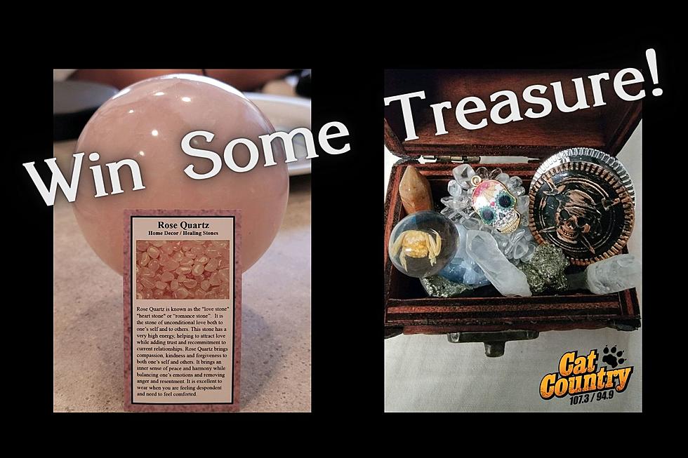 Win Your Own Treasure From Dixie Rocks and Fossils
