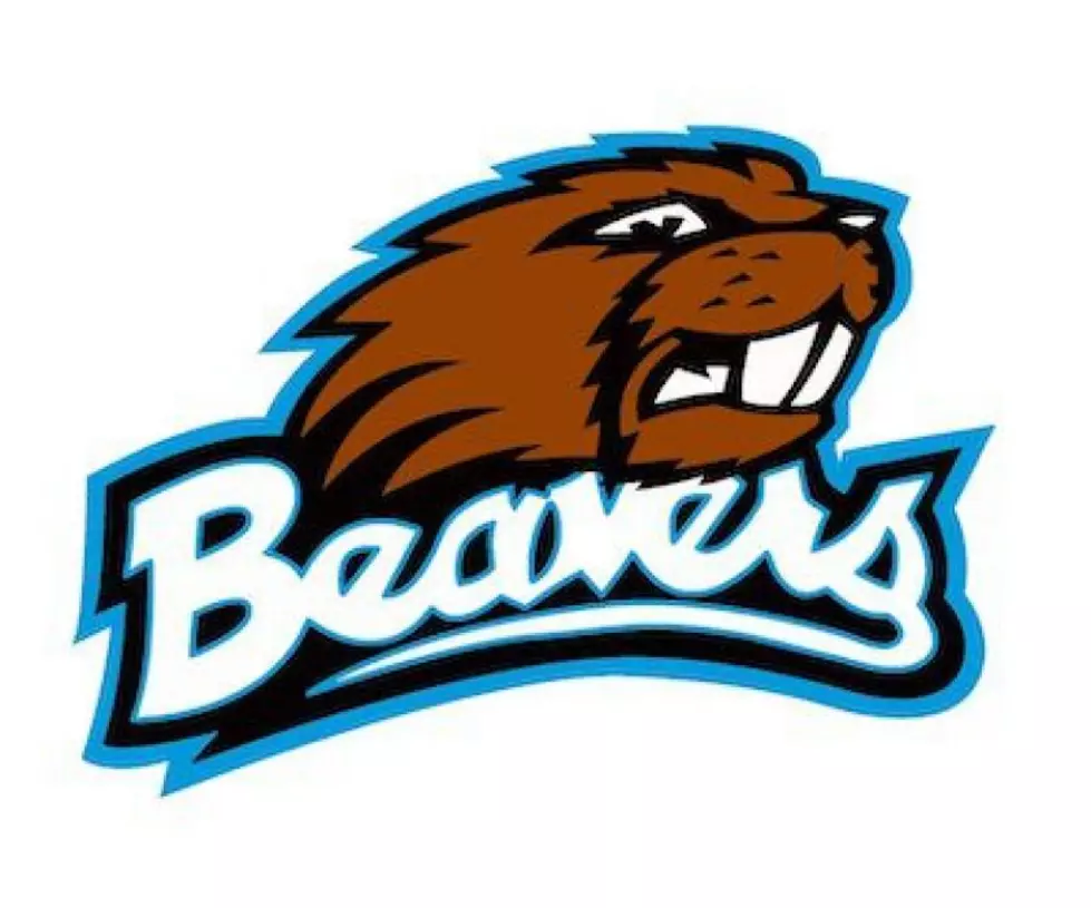 Beaver