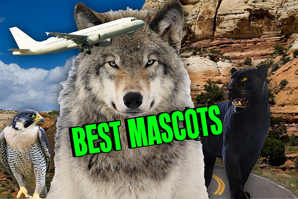Ranking Southern Utah’s High School Mascots WORST TO BEST