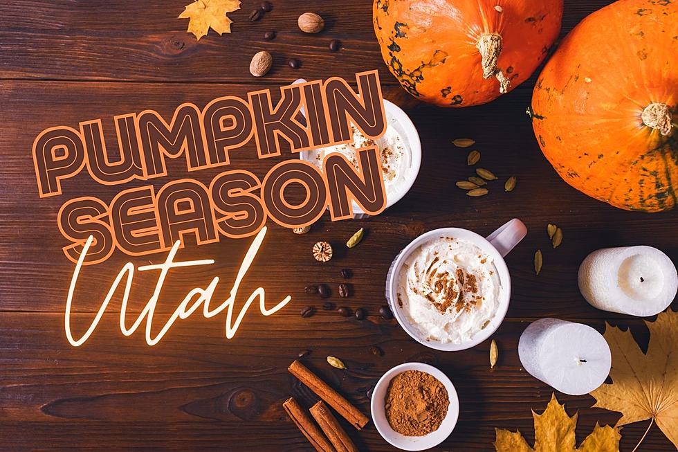It's Pumpkin Season Utah: Who's Serving Up Pumpkin Deliciousness?