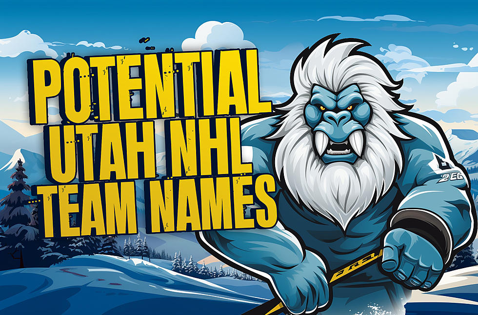 Possible Names For A Utah NHL Team!