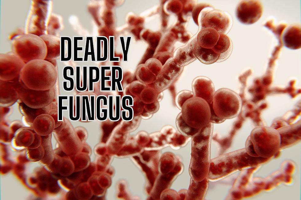 Deadly Super Fungus Spreading Across The US Found In Utah
