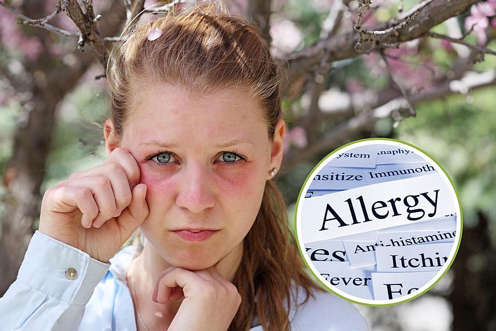 Breathe Easy This Utah Allergy Season with These 3 Simple Solutio