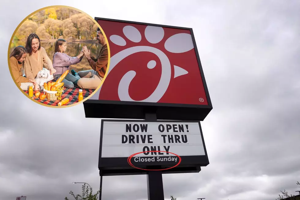 Popularity Of Fast Food Chicken Helps Drive Nationwide Chicken Shortages And Price Increases