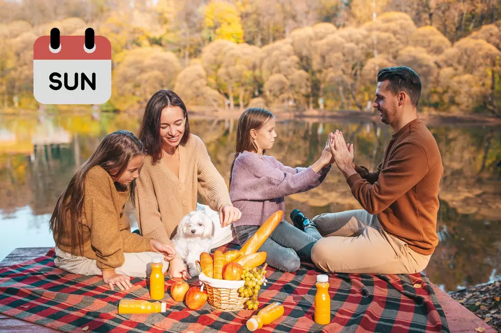 Family pic-nic- Canva