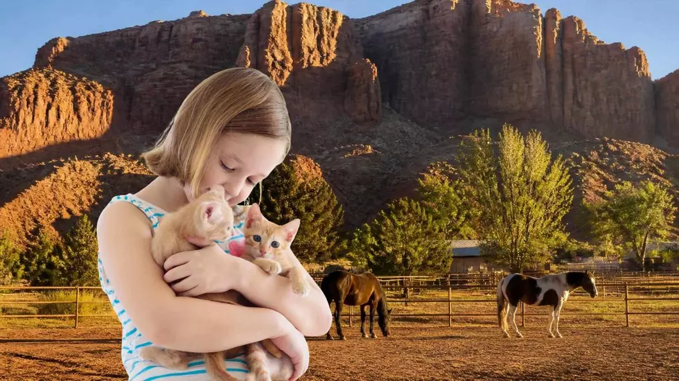 The Southern Utah Animal Sanctuary Every Pet Family Should Visit Once