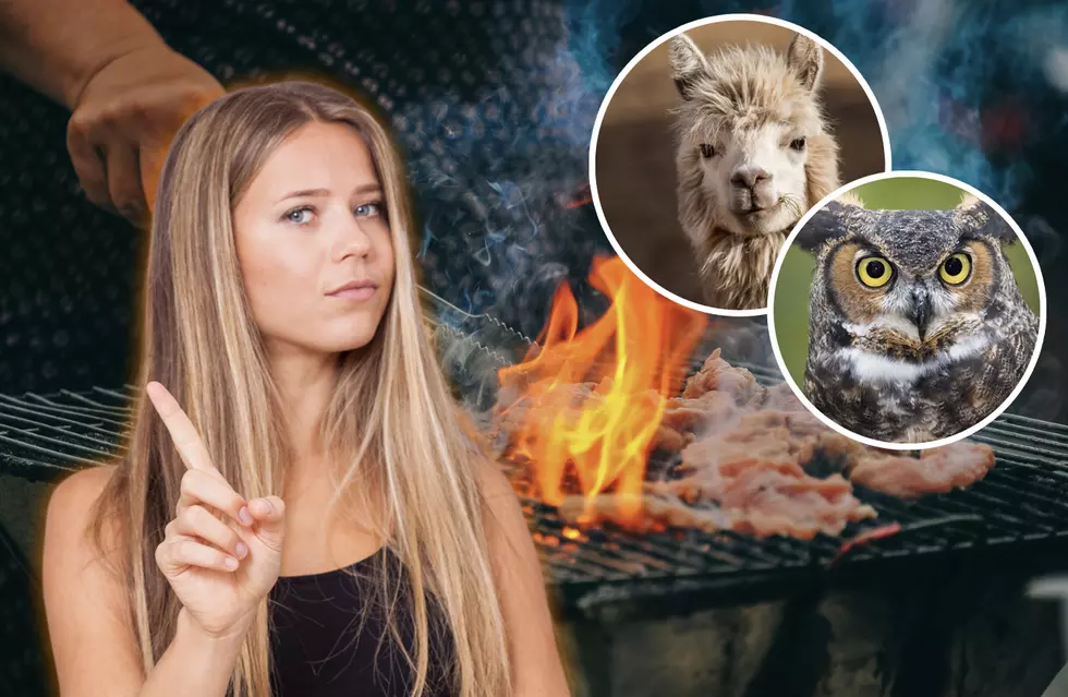 Meats You Can't Grill In Utah And Nevada
