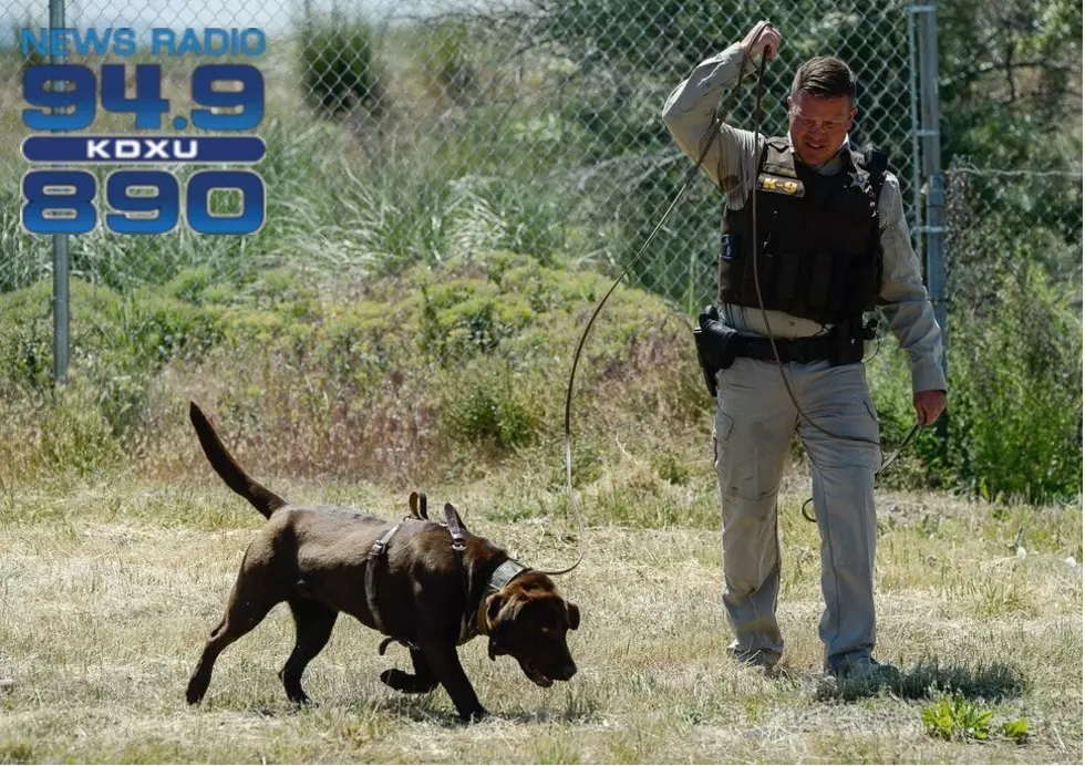 DWR K9s help track runaway juveniles and detect illegally caught fish