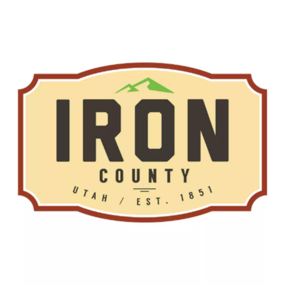 Primary election results from Iron County