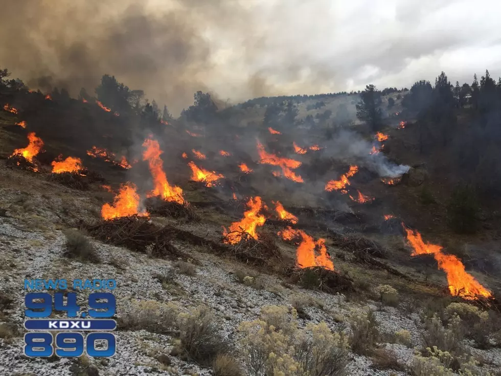 BLM fire managers plan to conduct slash/debris pile burns  65 miles south of St. George