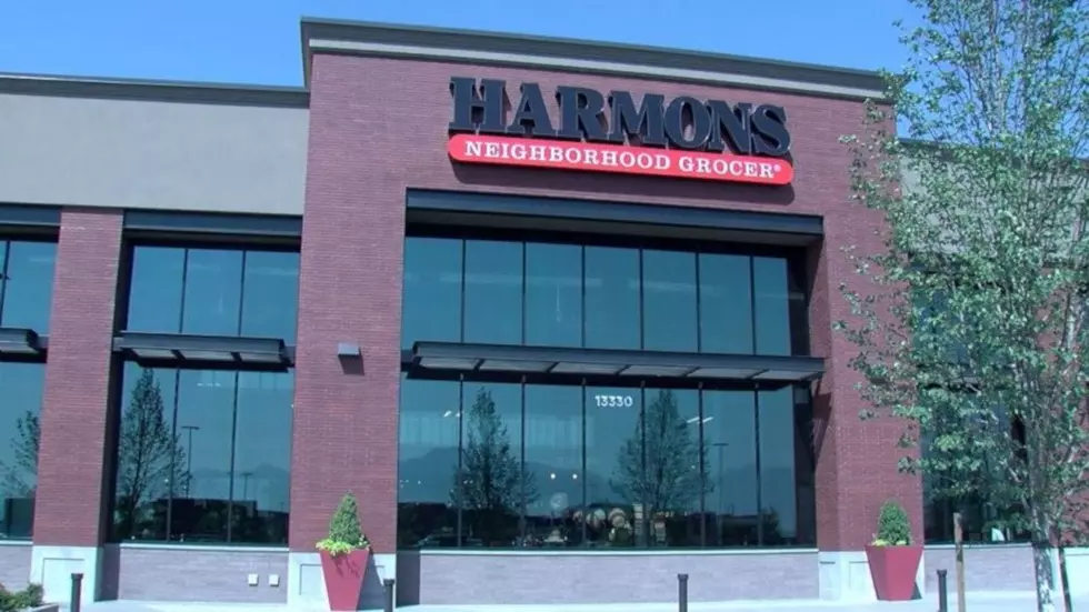 Harmons to begin temperature checks for employees
