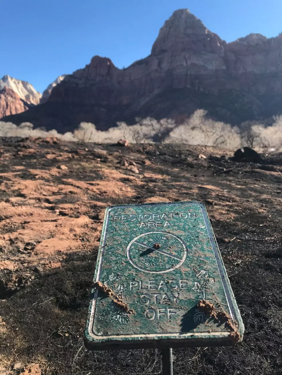 South Entrance Fire Called “Out” at Zion National Park