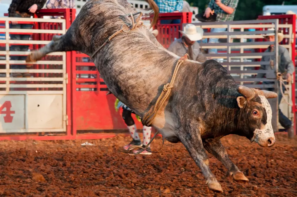 Teen dies in bull riding accident