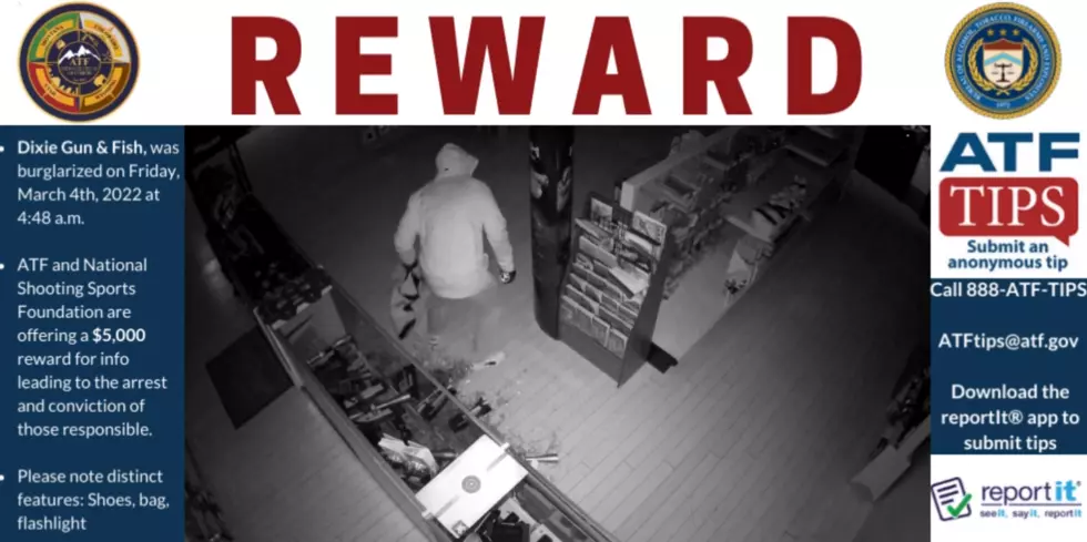 ATF offering reward, St. George PD asking for help finding gun store burglar(s)
