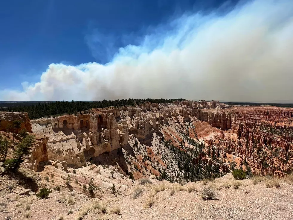 Left Fork Fire Continues to Grow