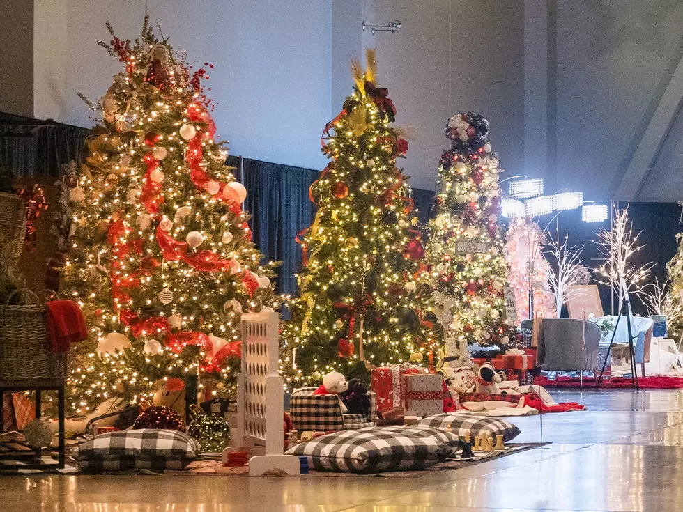 How To Save A Life: Jubilee of Trees Auction To Benefit Mental Health For Southern Utah Children