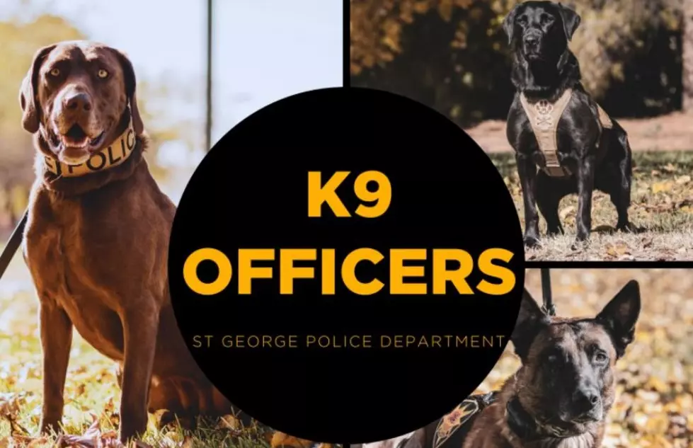 Woof! St. George PD K9 Officers Work Hard (They Just Don&#8217;t Know It)