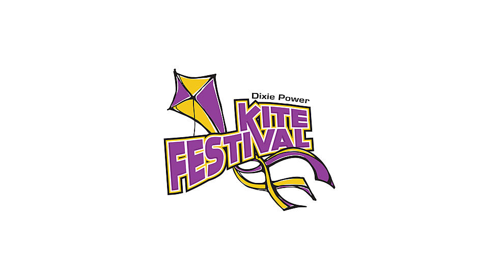 Read A Book, Fly A Kite At Dixie Power&#8217;s Kite Festival