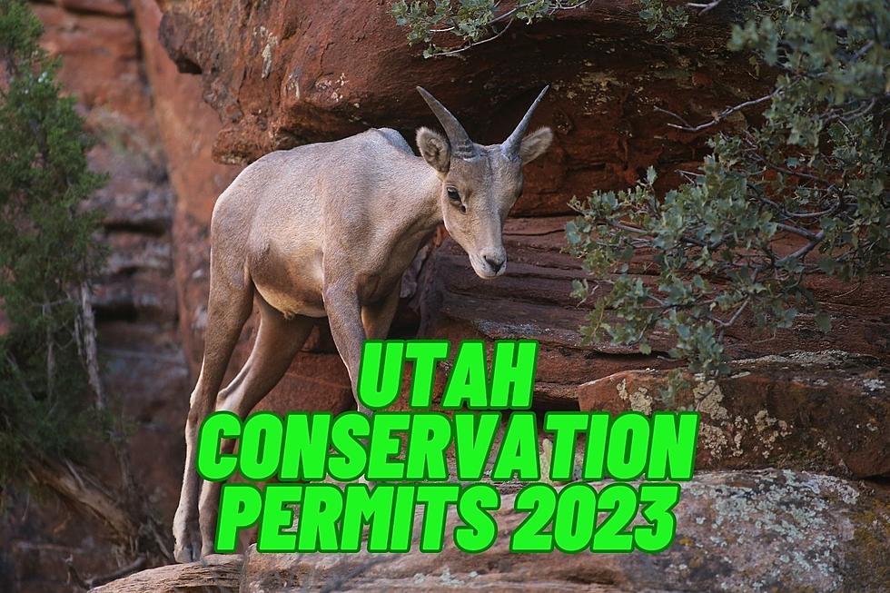 $3.9 Million Allocated To Conservation Projects In Utah