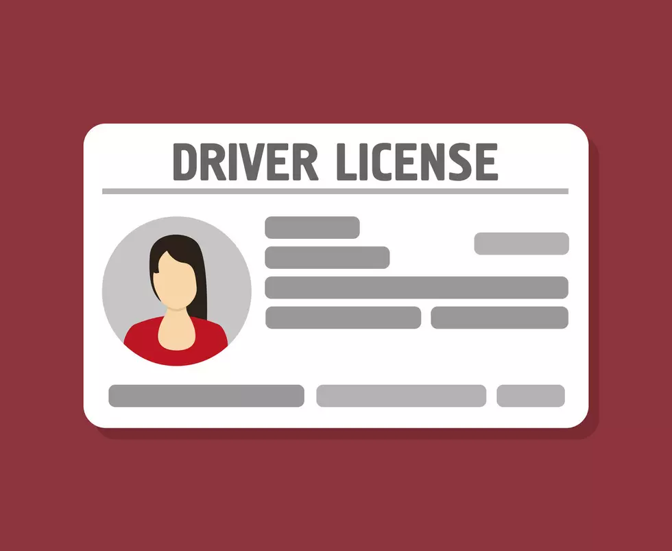 Flat woman driver license, id card vector illustration