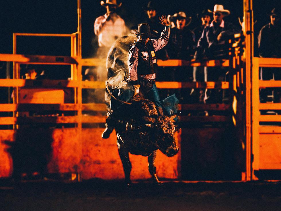 Stephen Wade Ram Brings Back Wendy Wood Memorial Rodeo to Cedar C