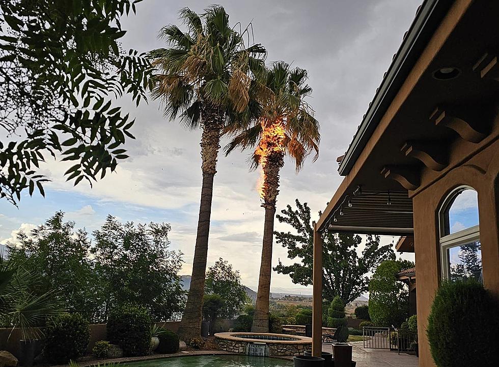 St. George Couple Attempts to Extinguish Palm Tree Lightning Fire