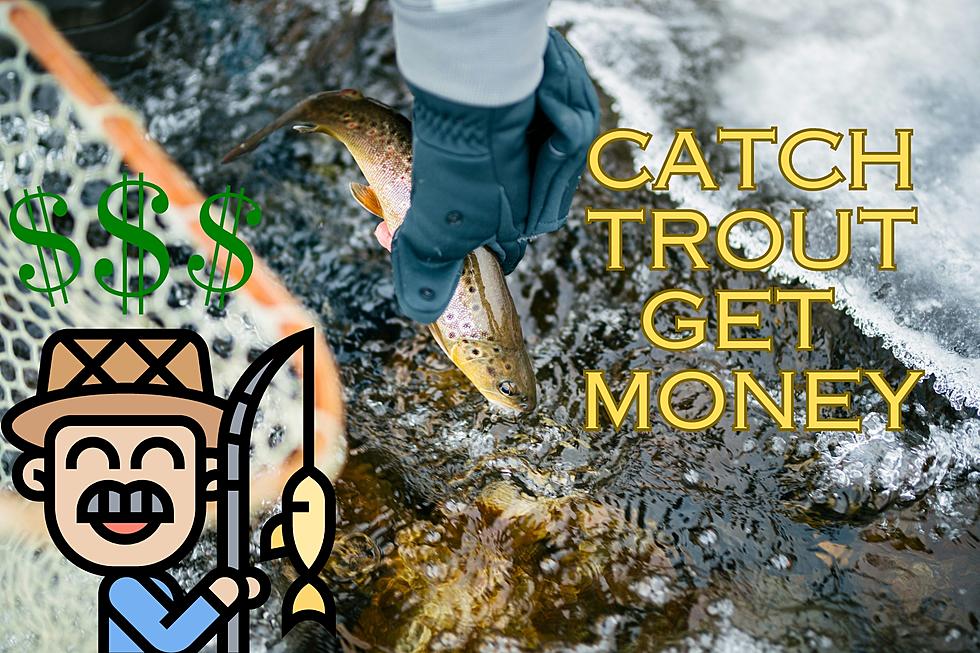KDXU Sunrise Stories for February 29, 2024: Catch Trout and Get Money During Brown Trout Bonanza Near Southern Utah