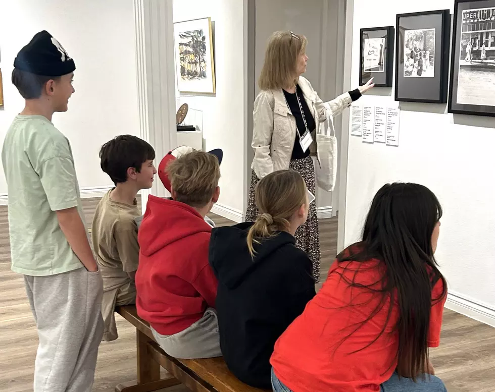 St. George Art Museum Needs You