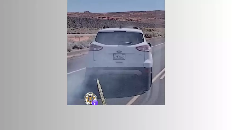 Deputies Use Grappler Device, End Chase Near Sand Hollow