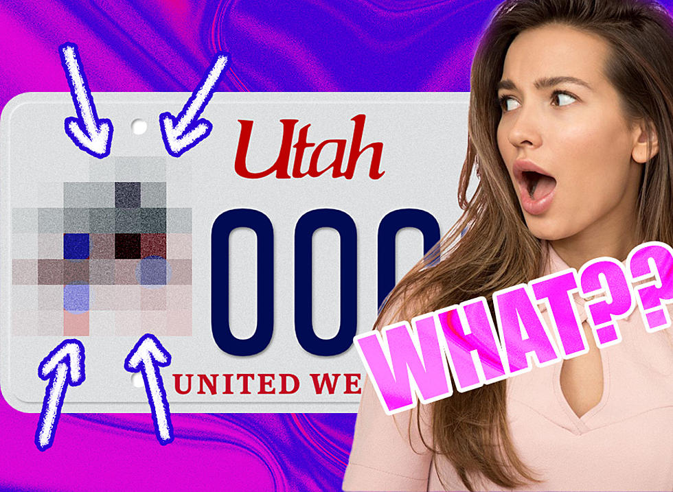 SHOCKING! This Utah College Has the Most Plates by FAR!