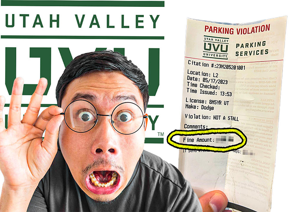 OUTRAGEOUS! Would You Pay This Ticket?? From Utah Valley