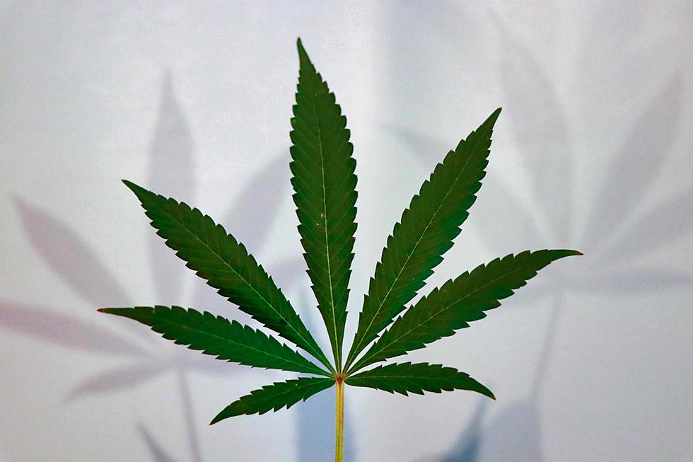 Don’t Get Arrested for Bringing Marijuana into Utah