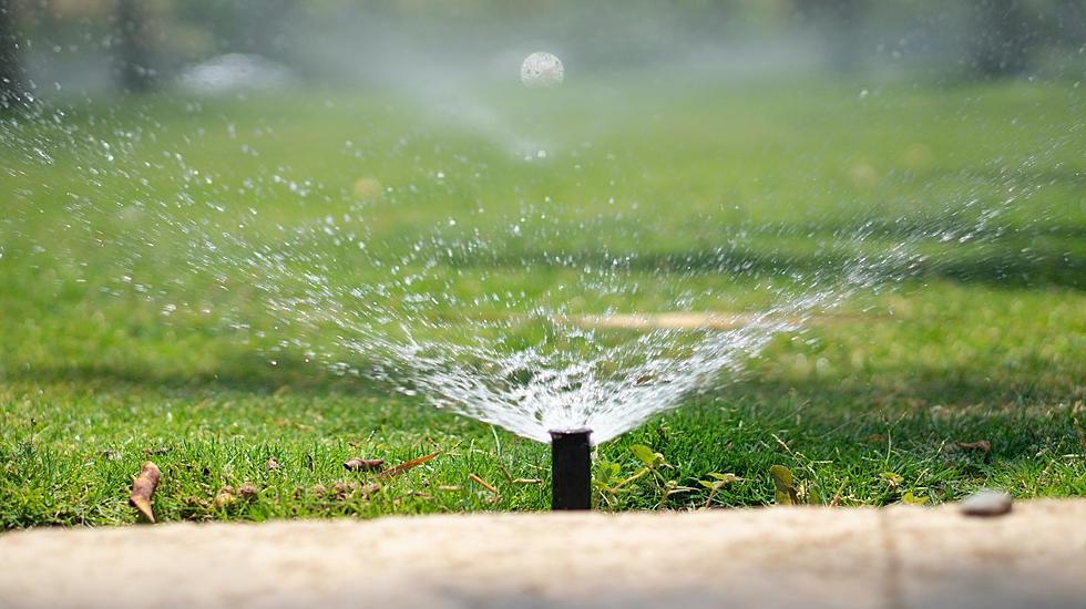 You Can't Make A Sidewalk Grow by Watering It 