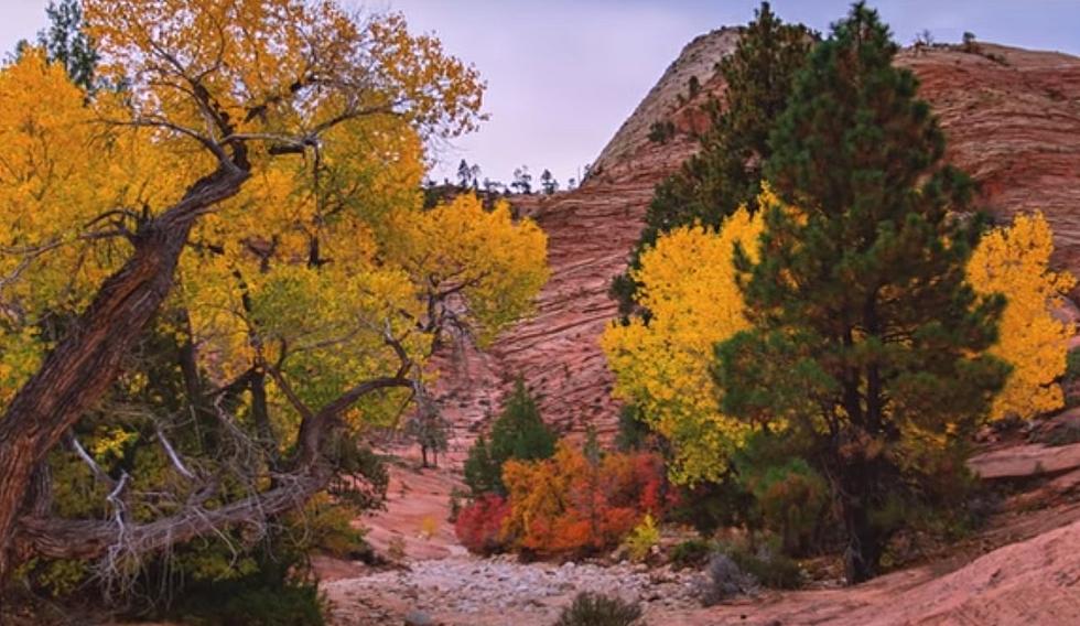 See Leaves Change Close To Home In Southern Utah