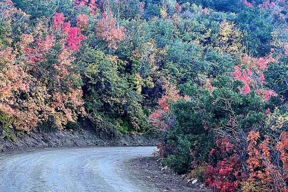 Check This Out: Colors Are Bursting In Southern Utah