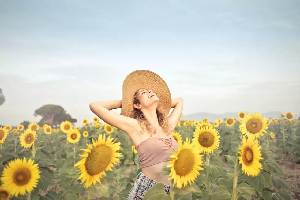 Photo by Andrea Piacquadio: https://www.pexels.com/photo/woman-standing-on-sunflower-field-3764579/