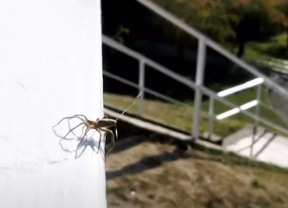https://youtu.be/JrS0igctMi0?si=B5RWBkvYHZ2L2fo8