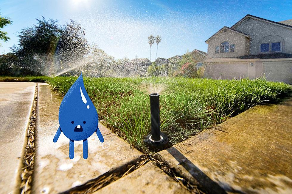 Putting Water Under Your Grass: Save Big in Utah