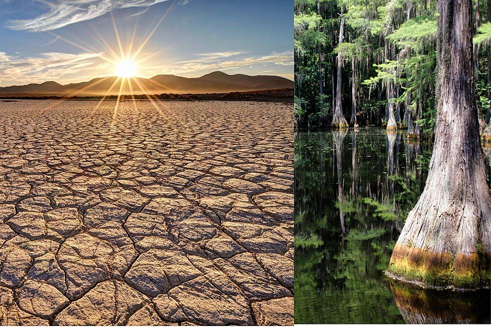 Utah's Drought Roamed the West